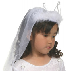 Véu de Noiva com Coroa