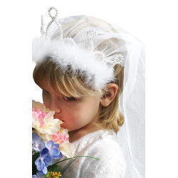 Véu de Noiva com Coroa