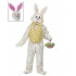 Fantasia Adulto Coelho da Pascoa Luxo