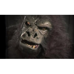 Fantasia Adulto Gorila Completa Elite