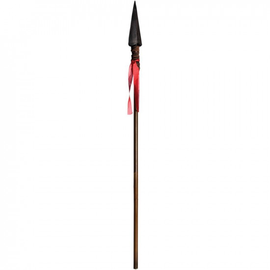 Lança do Homem das Cavernas