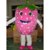 Fantasia Mascote Adulto Morango Luxo