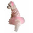 Fantasia para Cachorro Bailarina
