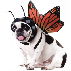 Fantasia para Cachorro de Borboleta