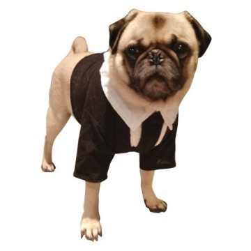 Fantasia para Cachorro Homens de Preto Frank Fantasia para Cachorro Homens de Preto Frank