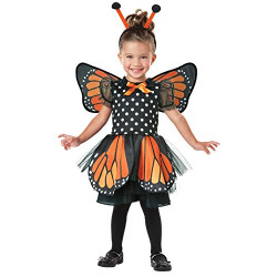 Fantasia Borboleta Laranja Infantil