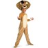 Fantasia Infantil Alex Madagascar
