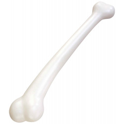 Osso Pré histórico do Homem das cavernas