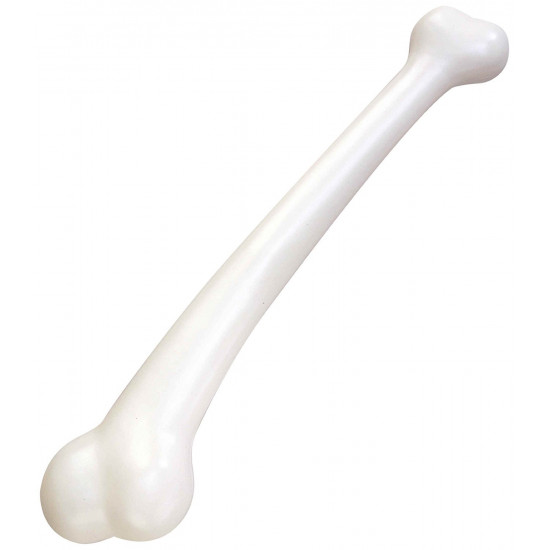 Osso Pré histórico do Homem das cavernas