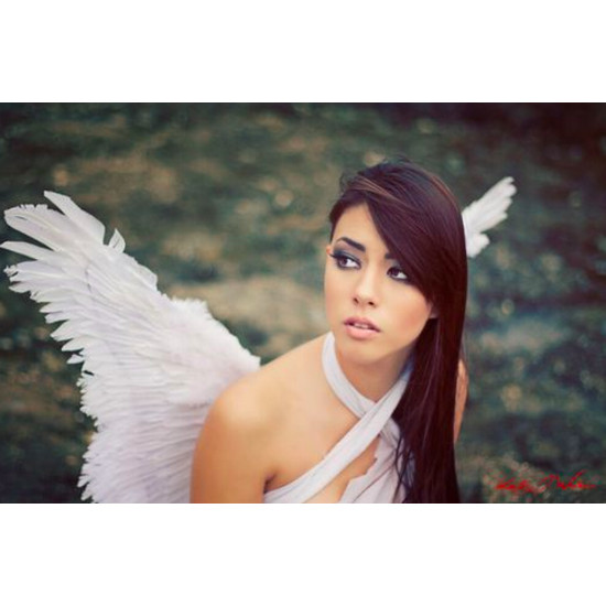 Asa Adulto para Anjo Branca Luxo Asa Adulto para Anjo Branca Luxo