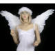 Asa Adulto para Anjo Branca Luxo Asa Adulto para Anjo Branca Luxo