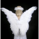 Asa Adulto para Anjo Branca Luxo Asa Adulto para Anjo Branca Luxo