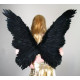 Asa Anjo Branca e Preta Luxo Asa Anjo Branca e Preta Luxo