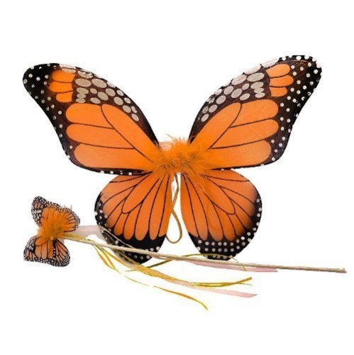 Asa Borboleta Infantil Luxo Laranja Asa Borboleta Infantil Luxo Laranja