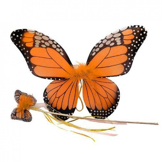 Asa Borboleta Infantil Luxo Laranja Asa Borboleta Infantil Luxo Laranja