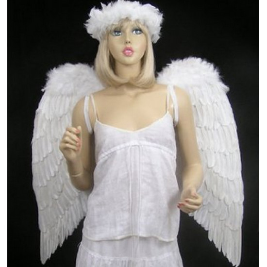 Asa Branca Anjo Adulto Luxo
