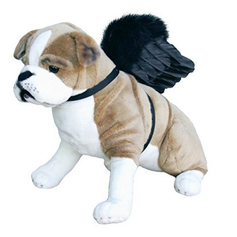 Asa de Animal de estimação Preta Asa de Animal de estimação Preta
