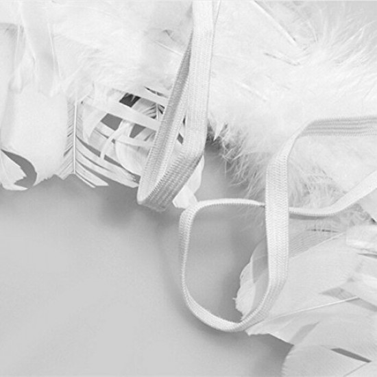 Asa de Penas Luxo Adulto Clássica