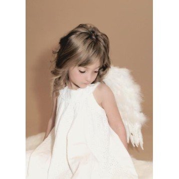 Asa Infantil de Penas Luxo Asa Infantil de Penas Luxo