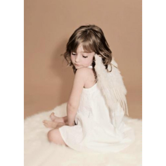 Asa Infantil de Penas Luxo Asa Infantil de Penas Luxo