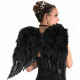 Asa Preta Adulto para Anjo Negro Asa Preta Adulto para Anjo Negro