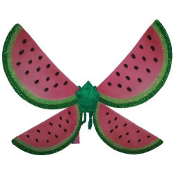 Asas de Melancia Infantil