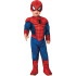 Fantasia Homem Aranha Infantil com Músculos Nova
