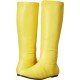 Bota Amarela Dourada Sem Salto