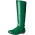 Bota Verde Dourada Sem Salto