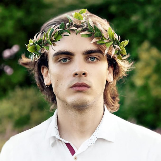 Coroa de Folhas de Louro Prateada e Verde Grega Romana Luxo Coroa de Folhas de Louro Prateada e Verde Grega Romana Luxo