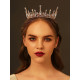 Coroa de Rei Rainha Real Dourada Coroa de Rei Rainha Real Dourada