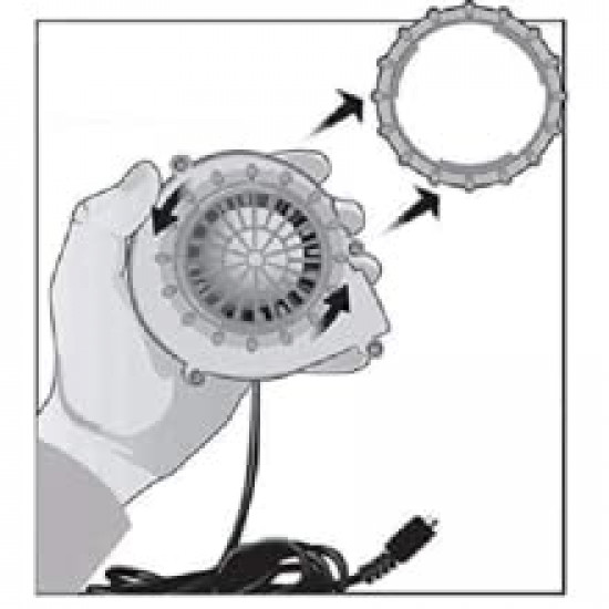 Fantasia Mundo Jurássico Reino Caído Velociraptor Adulto Inflável com Sons