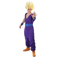 Fantasia Gohan Dragon Ball Adulto