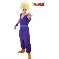 Fantasia Gohan Dragon Ball Adulto