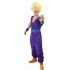 Fantasia Gohan Dragon Ball Adulto