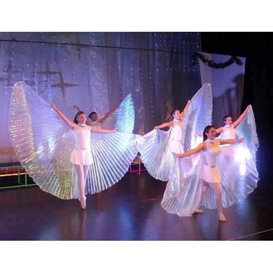 Asa Branca Dança do Ventre Luxo Adulto