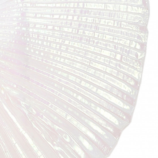 Asa Branca Dança do Ventre Luxo Adulto