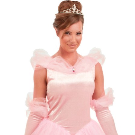Fantasia Adulto Bela Adormecida Aurora Luxo Fantasia Adulto Bela Adormecida Aurora Luxo