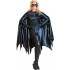 Fantasia Batgirl Adulto Collectors Luxo