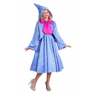 Fantasia Fada Madrinha Cinderela Disney Adulto 