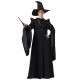 Fantasia Professor McGonagall Minerva Harry Potter Fantasia Professor McGonagall Minerva Harry Potter