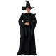 Fantasia Professor McGonagall Minerva Harry Potter Fantasia Professor McGonagall Minerva Harry Potter
