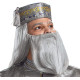 Fantasia Dumbledore Adulto De Luxo Fantasia Dumbledore Adulto De Luxo