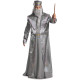 Fantasia Dumbledore Adulto De Luxo Fantasia Dumbledore Adulto De Luxo