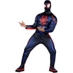 Fantasia Homem Aranha Adulto Clássica MM