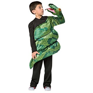 Fantasia Cobra Infantil Fantasia Cobra Infantil