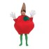 Fantasia Fruta Maça Infantil
