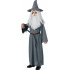 Fantasia Gandalf Hobbit Infantil