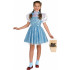 Fantasia Infantil Dorothy Mágico de Oz