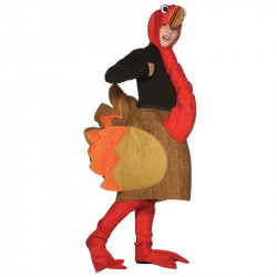 Fantasia Infantil Pássaro Peru